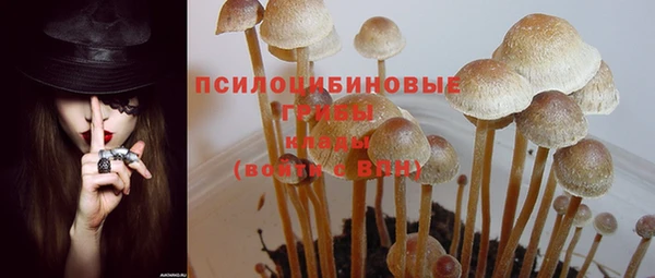 метадон Абинск