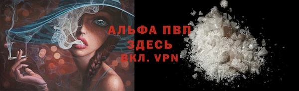 гашик Абаза